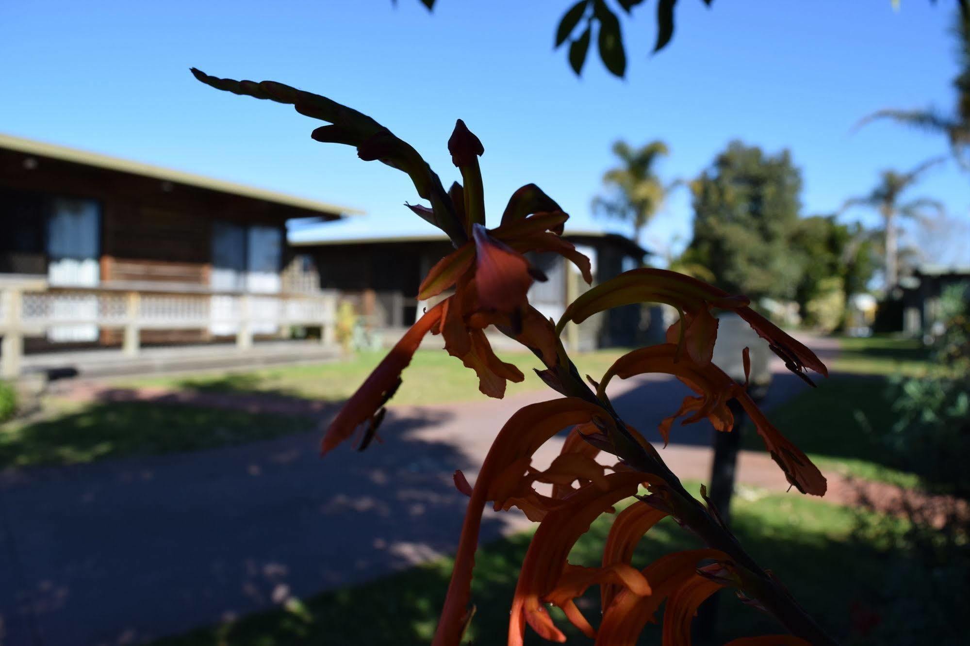 Lazy Acre Log Cabins Lakes Entrance Extérieur photo